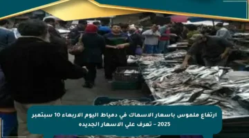 ارتفاع ملموس بأسعار الأسماك في دمياط اليوم الأربعاء 10 سبتمبر 2025 – تعرف على الأسعار الجديدة